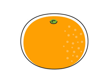 Fruit citrus illustrationのイラスト素材