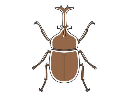 Illustration of Japanese beetleのイラスト素材