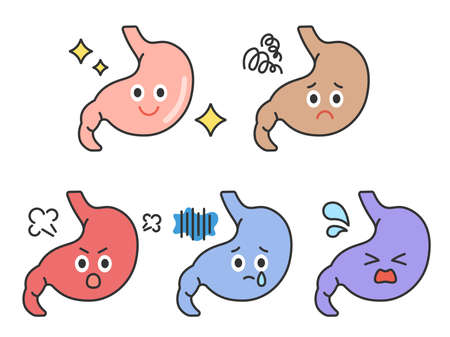 Illustration of stomach healthのイラスト素材