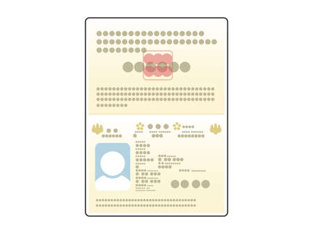 Illustration of Japanese passport ID photo pageのイラスト素材