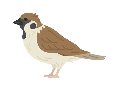 Illustration of sparrow seen from the sideのイラスト素材