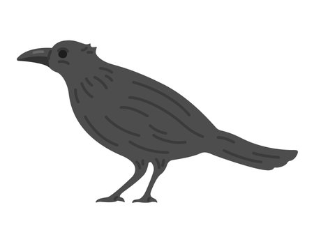 Illustration of a crow seen from the sideのイラスト素材
