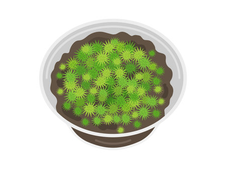 Illustration of an egg in a caseのイラスト素材