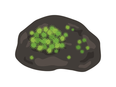 Illustration of a black stone with an eggのイラスト素材