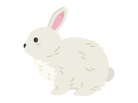 Illustration of a white rabbit seen from the sideのイラスト素材