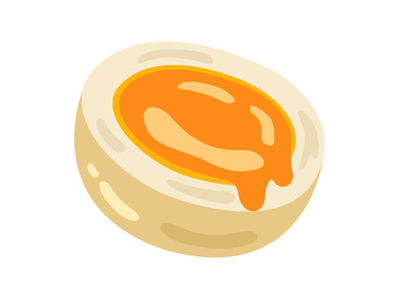 Illustration of a cut, soft-boiled eggのイラスト素材