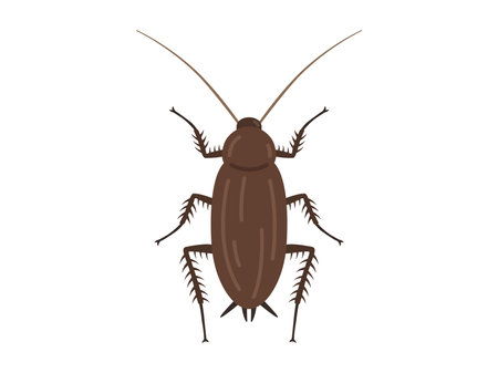 Illustration of brown cockroachesのイラスト素材