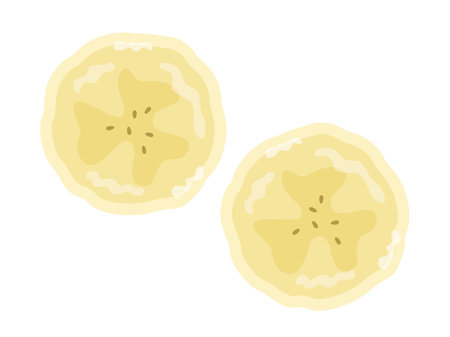 Illustration of a banana cross-section (overhead view)のイラスト素材