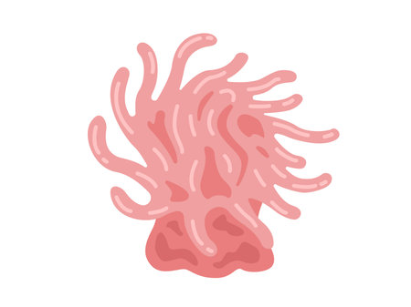Illustration of a pink anemoneのイラスト素材