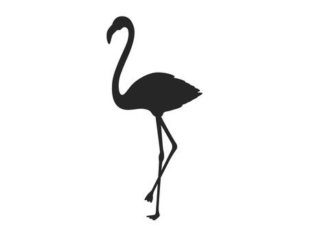 Illustration of a flamingo silhouetteのイラスト素材