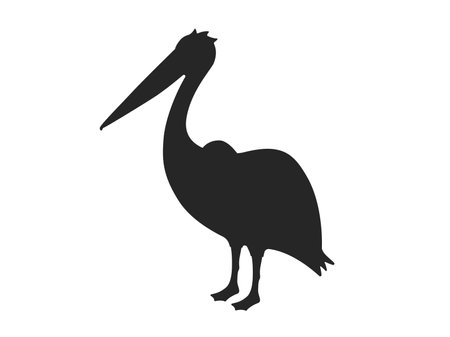 Pelican silhouette illustrationのイラスト素材