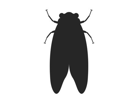 Illustration of cicada silhouetteのイラスト素材