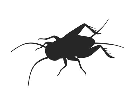 Illustration of silhouette of cricketsのイラスト素材