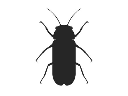 Illustration of a silhouette of a firefly