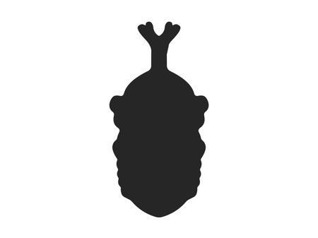 Illustration of the silhouette of the pupa of a beetleのイラスト素材