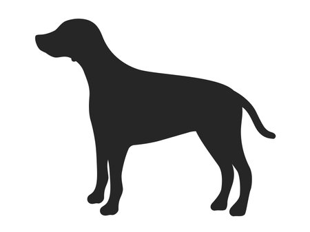 Illustration of the silhouette of a Dalmatian seen from the sideのイラスト素材