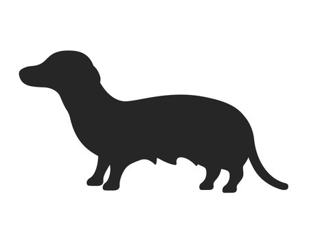 Illustration of the silhouette of a dachshund seen from the sideのイラスト素材