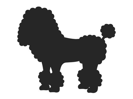 Illustration of a poodle silhouetteのイラスト素材