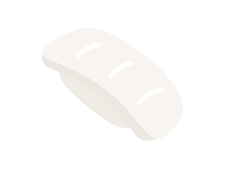 Illustration of squid sushi iconのイラスト素材