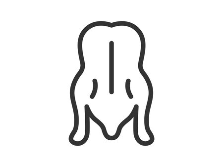 Illustration of Peking duck icon (line drawing)のイラスト素材