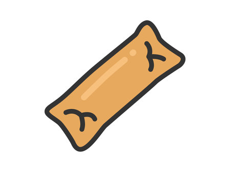 Illustration of spring roll icon (line art color)のイラスト素材