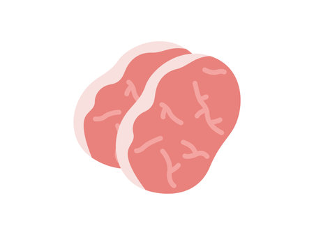 Illustration of prosciutto iconのイラスト素材