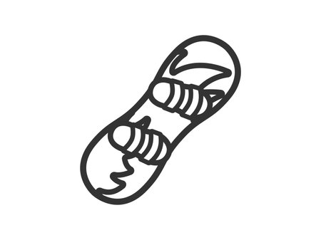 Illustration of snowboard icon (line drawing)のイラスト素材