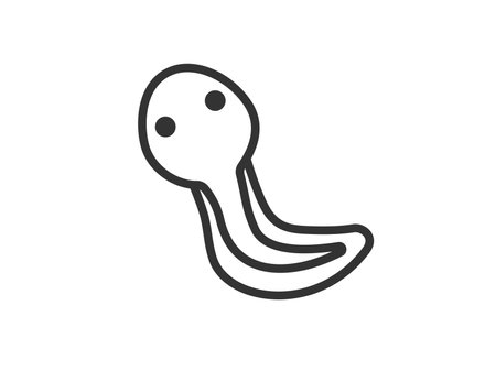 Illustration of tadpole icon (line drawing)のイラスト素材