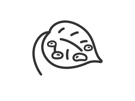 Illustration of a leaf icon (line drawing) with water dropletsのイラスト素材