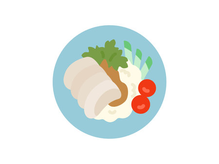 Illustration of Thai food, Khao Man Gai iconのイラスト素材