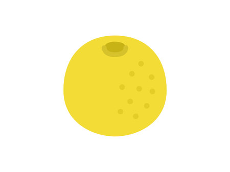 Illustration of grapefruit iconのイラスト素材