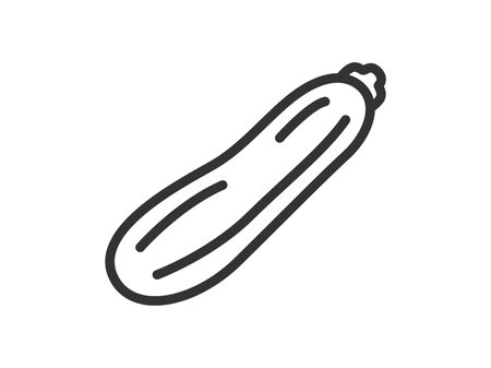 Illustration of zucchini icon (line drawing)のイラスト素材