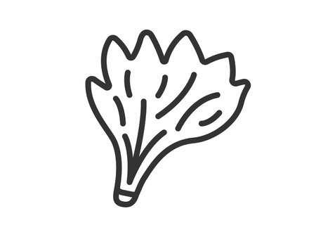 Illustration of spinach icon (line drawing)のイラスト素材