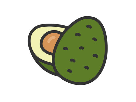 Illustration of avocado icon (line drawing color)のイラスト素材