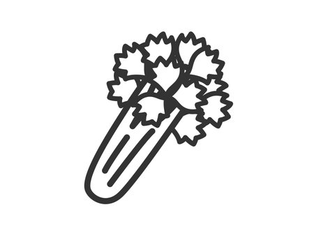 Illustration of celery icon (line drawing)のイラスト素材