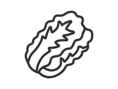 Illustration of Chinese cabbage icon (line drawing)のイラスト素材