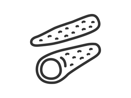 Illustration of yam icon (line drawing)のイラスト素材