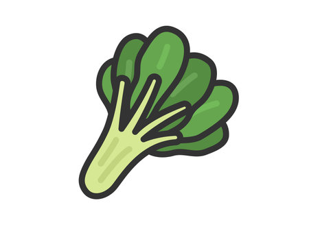 Illustration of komatsuna icon (line drawing color)のイラスト素材