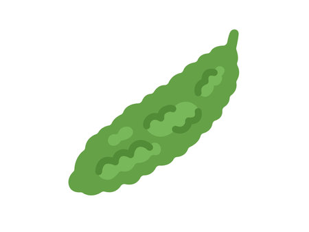 Illustration of bitter melon iconのイラスト素材