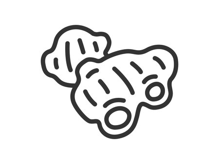 Illustration of ginger icon (line drawing)のイラスト素材