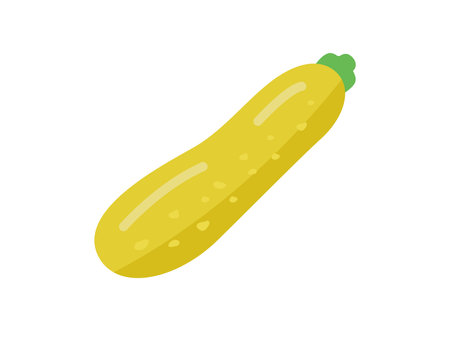 Illustration of a yellow zucchini iconのイラスト素材