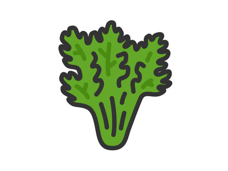 Illustration of chrysanthemum icon (line drawing color)のイラスト素材