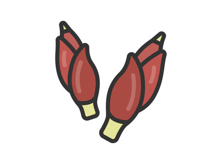 Illustration of ginger icon (line drawing color)のイラスト素材
