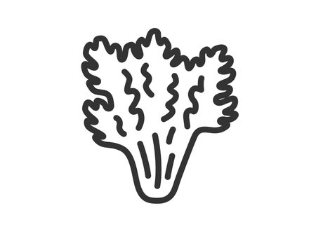Illustration of chrysanthemum icon (line drawing)のイラスト素材