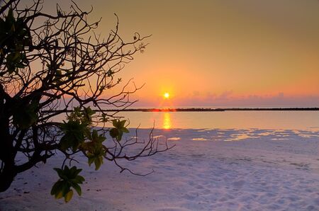 Maldivian sunset の写真素材