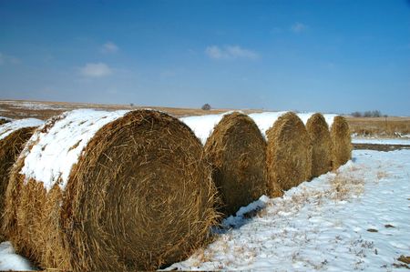 Kansas hay rolls with a light dusting of snow.の写真素材