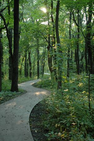 A paved trail running through Burr Oak Woods in Blue Springs, Missouri.の写真素材