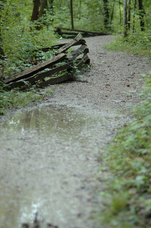 A rainy day hiking on a trail in Burr Oaks Forest in Blue Springs Missouri.の写真素材