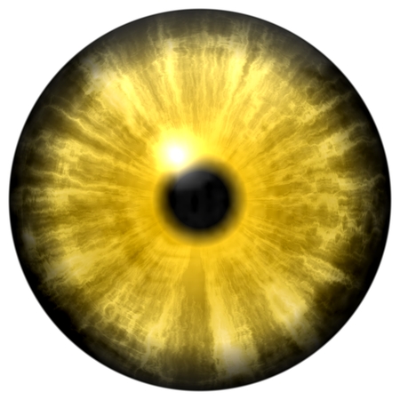Yellow animal eye with small pupil and black retina in background. Dark colorful iris around pupil, detail view into eye bulb.の写真素材