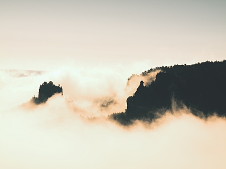 Misty dreamy landscape. Deep misty valley in autumn Saxony Switzerland park full of heavy clouds of dense fog. Sandstone peaks increased from foggy background.の写真素材